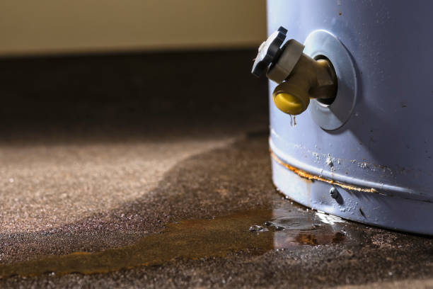 Best Water damage restoration near me  in Reinholds, PA
