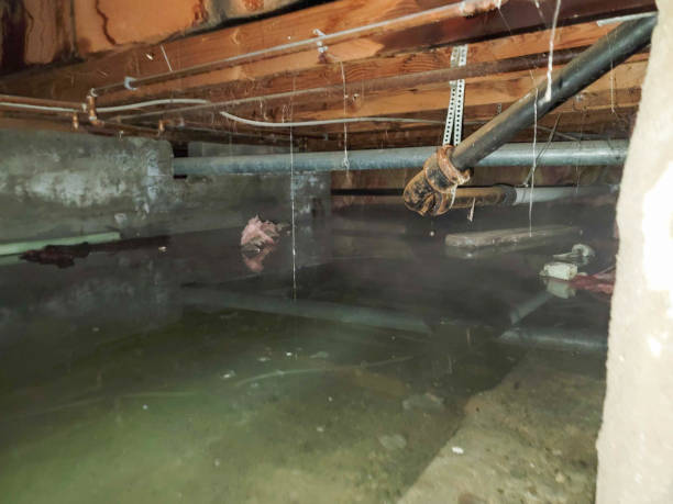 Best Residential water damage restoration  in Reinholds, PA