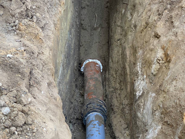 Best Basement water damage restoration  in Reinholds, PA