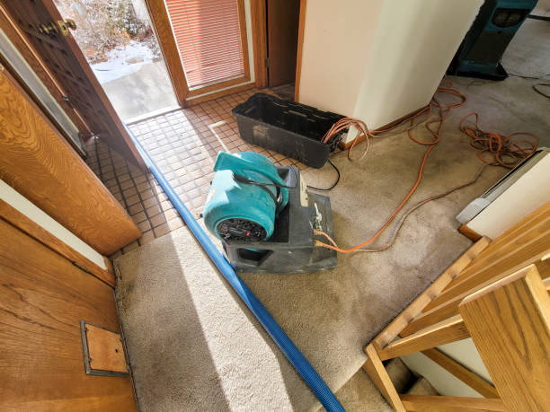 Best 24/7 water damage repair  in Reinholds, PA