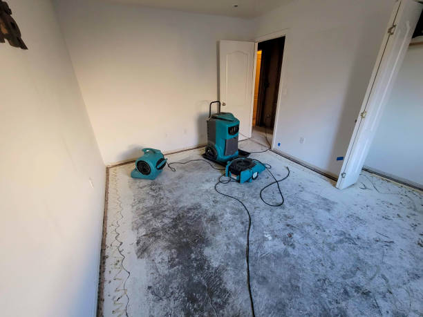 Best Water damage contractors near me  in Reinholds, PA