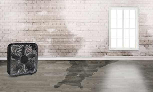 Water damage restoration process in Reinholds, PA