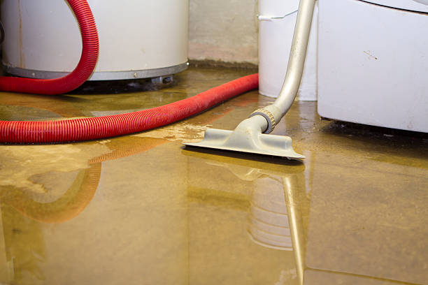  Reinholds, PA Water damage restoration Pros