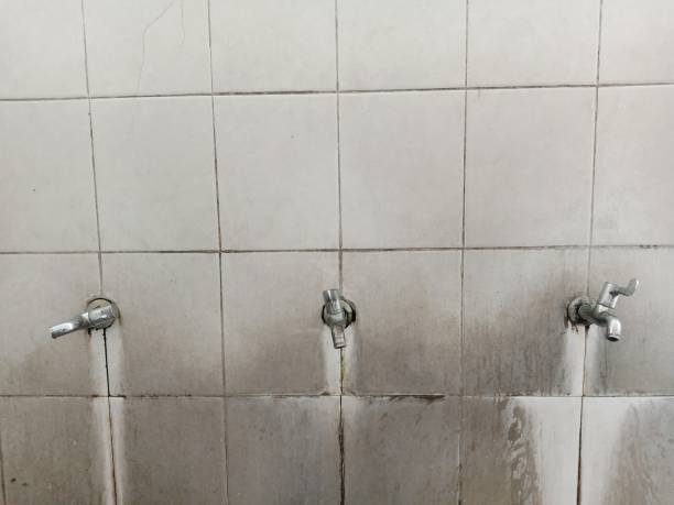 Best Water damage restoration near me  in Reinholds, PA