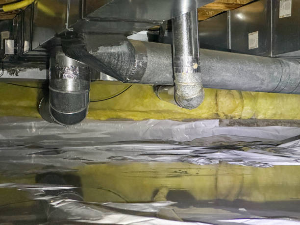 Best Basement water damage restoration  in Reinholds, PA
