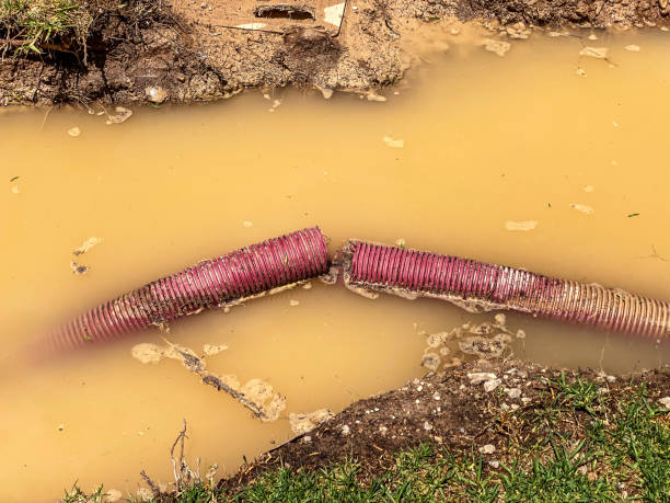 Best Residential water damage restoration  in Reinholds, PA