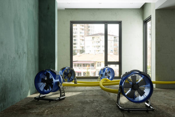 Best Water damage contractors near me  in Reinholds, PA