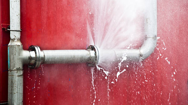 Best Local water damage restoration  in Reinholds, PA