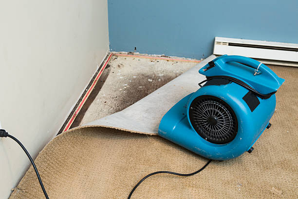 Best Residential water damage restoration  in Reinholds, PA